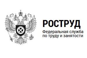 5 млн документов скачали пользователи на портале «Онлайнинспекция.рф» 