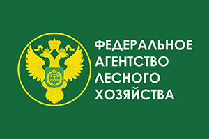 В России на протяжении 5 лет восстанавливается лесов больше, чем выбывает