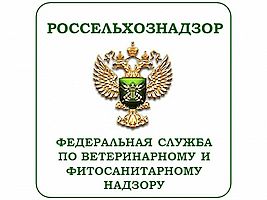 Зафиксирован рост объемов экспорта свиноводческой, молочной продукции и картофеля