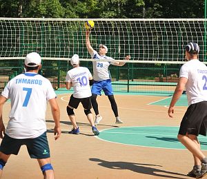 III заводские соревнования по парковому волейболу