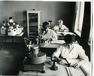1960-70-е годы. Первые десятилетия развития предприятия